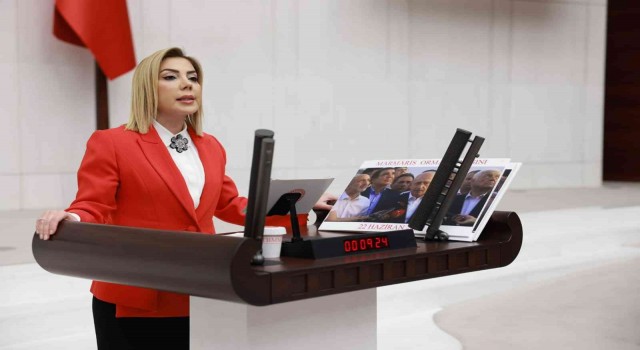 Ak Parti Muğla Milletvekili Gökcandan yeni yıl mesajı