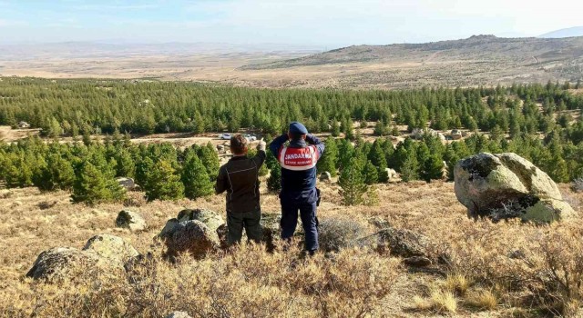 Aksarayda jandarma Anadolu Yaban Koyunlarını dron ile takip ediyor