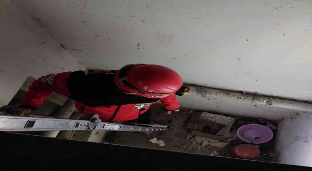 Apartman boşluğunda mahsur kalan kediyi AKUT ekibi kurtardı