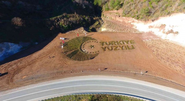 Artvinde 36 bin fidanla “Türkiye Yüzyılı” logosu işlendi