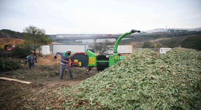 Atıklar kompost gübreye dönüşüyor, 70 bin TLlik tasarruf sağlanıyor