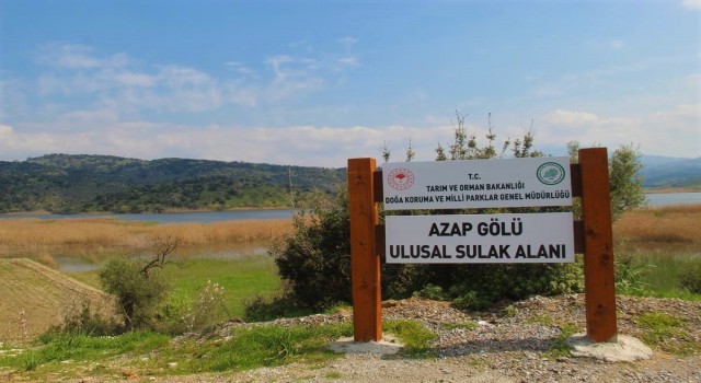 Aydında doğaseverler Azap Gölüne dikkat çekti
