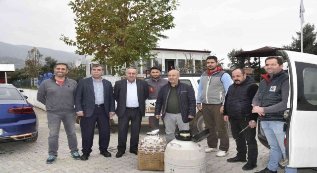 Aydında düve sayısı bu proje ile artacak