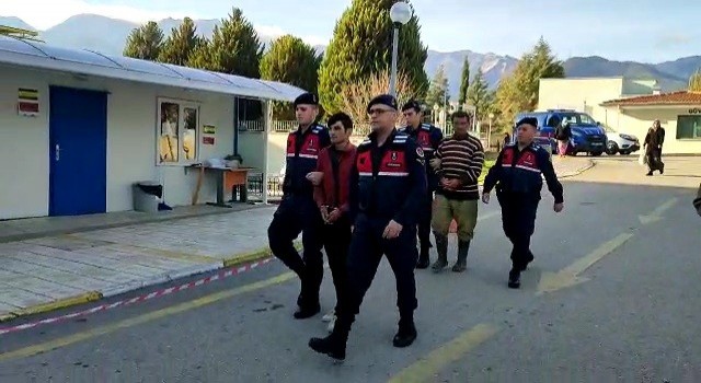 Ayılar ve yaban hayatını izlemek için kurulan fotokapanlar hırsızların hedefi oldu