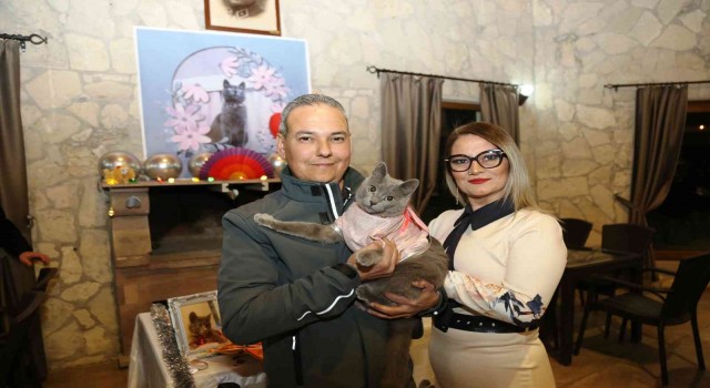 Ayvalıkta şanslı kedi Gümüşe 5. doğum günü partisi