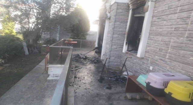 Ayvalıkta villada çıkan yangın korku dolu anlar yaşattı