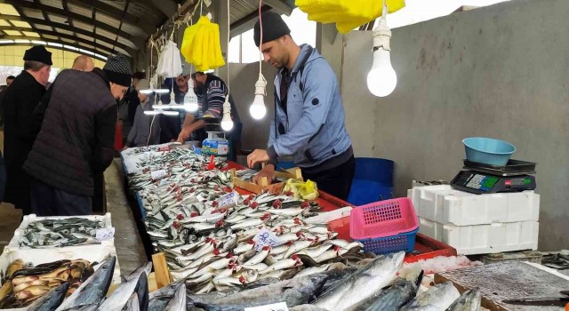 Balık bollaştı, fiyatlar ucuzladı