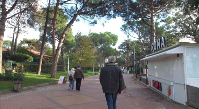 Balıkesir Ören Sahilinde kuruyan ağaçlar tedirgin etti