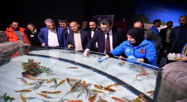 Balıkları biberonla beslediler