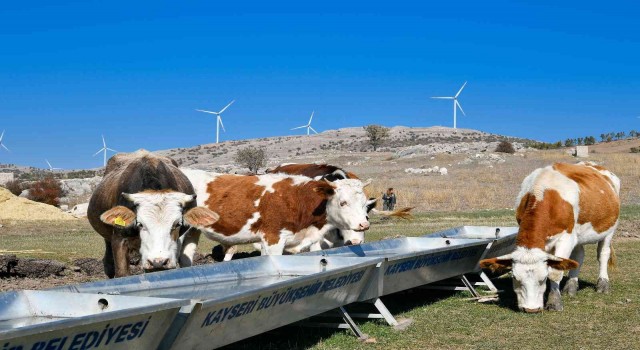 Başkan Büyükkılıçtan Tarım ve Hayvancılığa 100 Milyon TLnin Üzerinde Yatırım