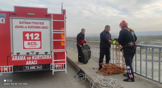Batman Çayında mahsur kalan yavru kedi için seferber oldular
