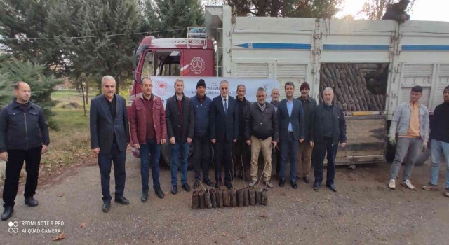 Batmanda 150 bin adet Antep fıstığı fidanı dağıtıldı
