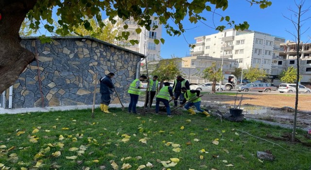 Batmanda bir ayda bin 900 ağaç dikimi gerçekleşti