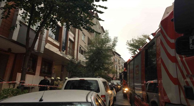 Bayrampaşada bir evde çıkan yangında muhabbet kuşları kurtarıldı