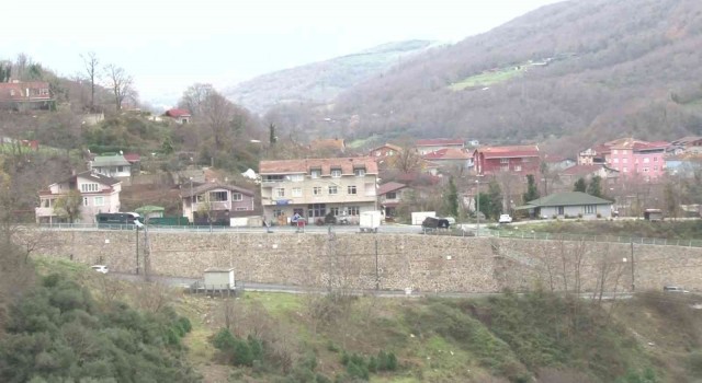 Beykozda aç kalan domuzlar yerleşim yerlerine indi