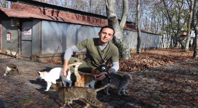 Bin 500 kedi-köpek burada barınıyor