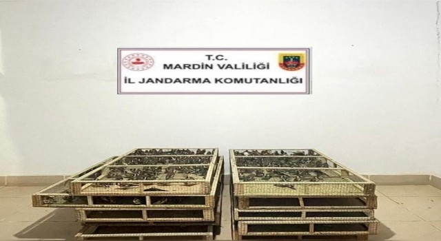Bin adet saka kuşu bulunduran şahsa 1 milyon 200 bin lira ceza