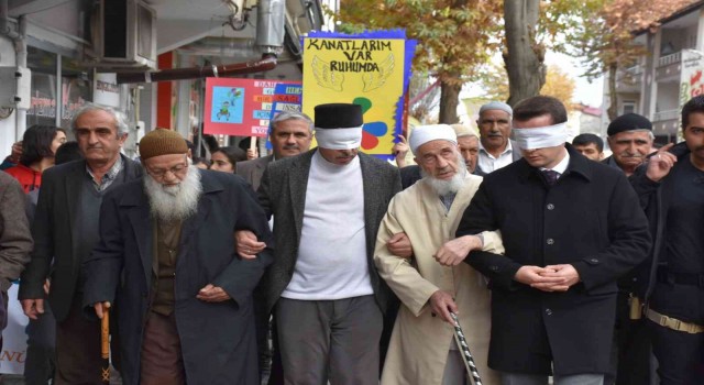 Bingölde ‘empati yürüyüşü düzenlendi
