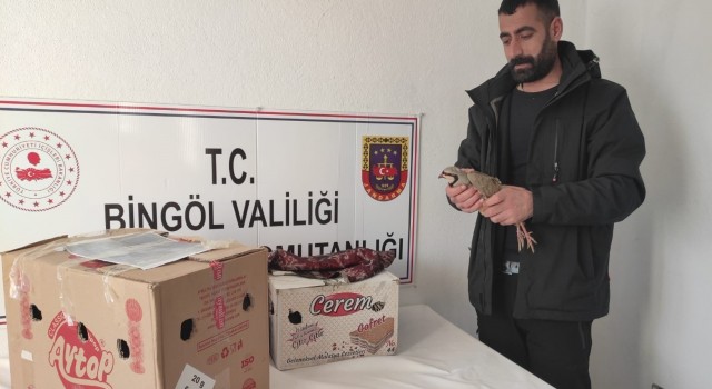 Bingölde yasak şekilde avlanan 13 adet kınalı keklik ele geçirildi