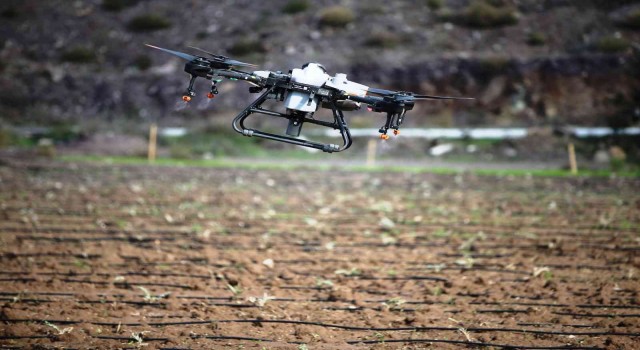 Bodrumda dron hizmeti çiftçinin yüzünü güldürdü