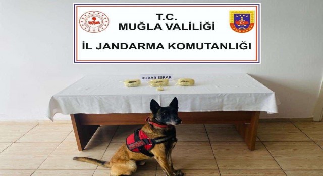 Bodrumda Jandarma ekipleri uyuşturucuya geçit vermedi
