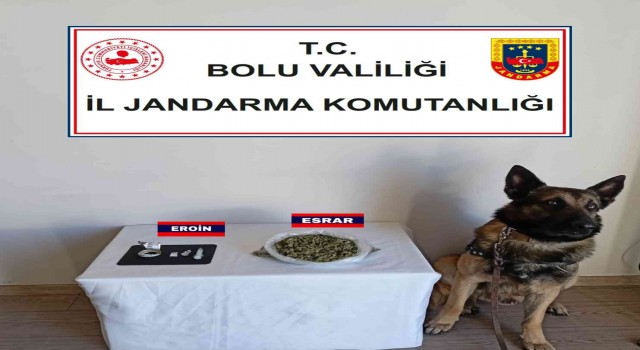 Boluda yolcu otobüsünde 3 kişinin valizinden uyuşturucu çıktı