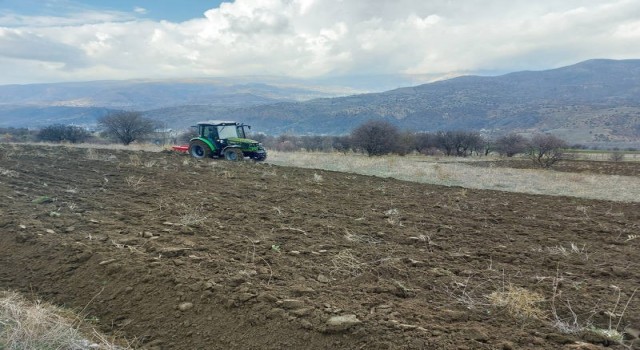 Boş tarım arazileri siyez buğdayı ile buluşuyor