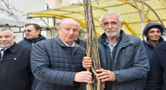 Bozüyükte 898 adet ceviz fidanı dağıtıldı