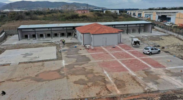 Bu merkezde hem kedi ve köpeklerin hem de kuşların yuvası olacak
