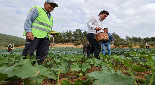 Bucada belediye-kooperatif iş birliği tarımı canlandırdı