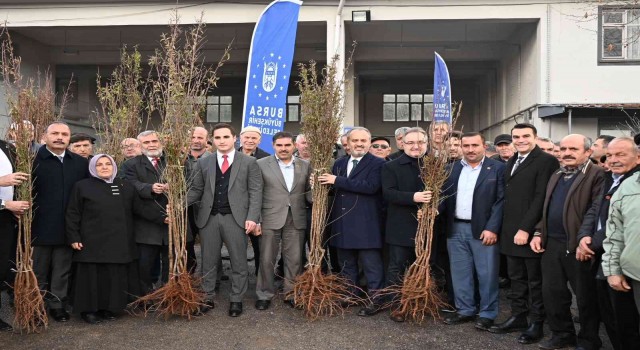 Bursada kırsaldaki çiftçilere 20 bin fidan dağıtıldı