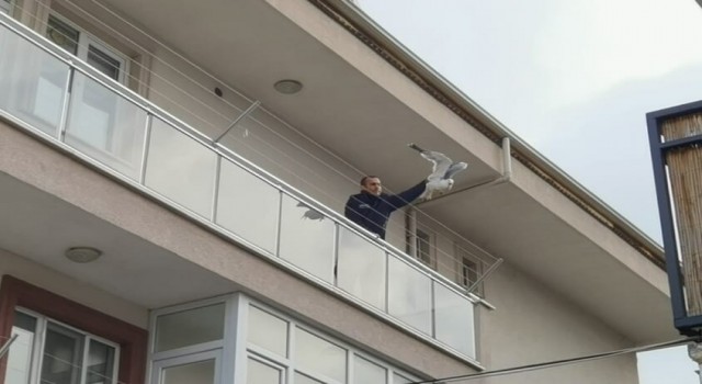 Bursada martı kurtarma operasyonu