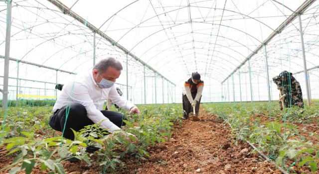 Büyükşehirden mevsimlik tarım işçilerine destek
