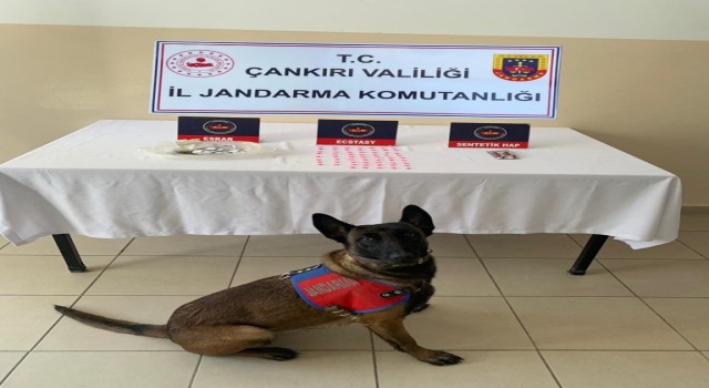 Çankırıda uyuşturucu operasyonu: 1 gözaltı
