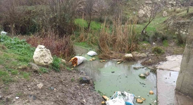 Çocukken yüzdükleri derede şimdi çöpler yüzüyor
