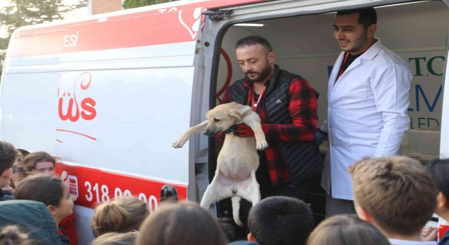 Çocuklar hayvan saldırılarına karşı bilinçlendirildi