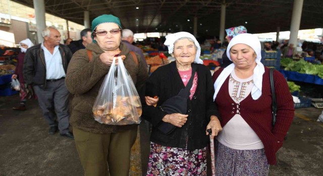 Dağdan toplanan çıntar, tezgahlara indi