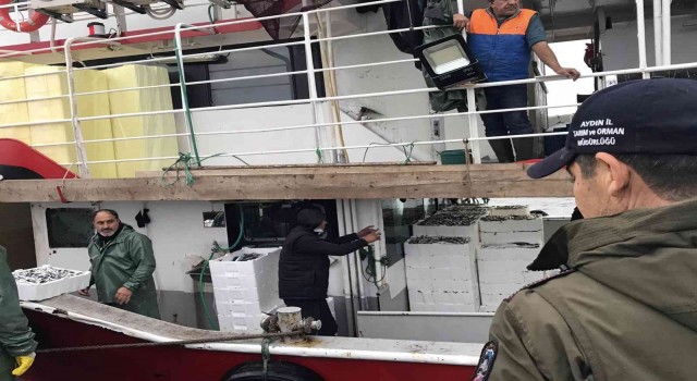 Didimde su ürünleri denetimi yapıldı