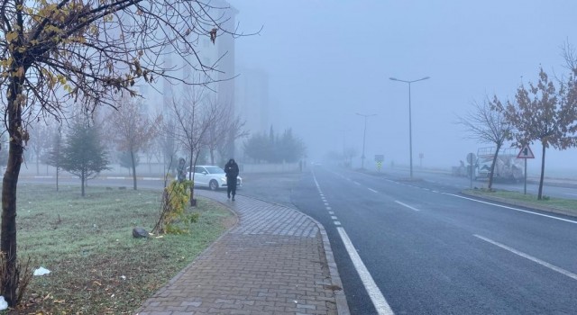 Diyarbakırda 4 gündür etkili olan sis nedeniyle uçak seferleri iptal edildi