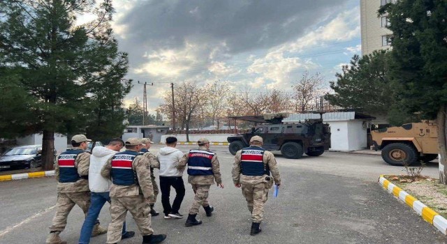 Diyarbakırda büyükbaş hayvan hırsızları tutuklandı
