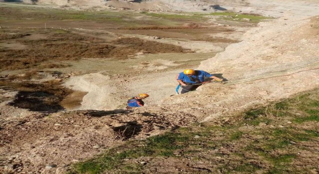 Diyarbakırda mahsur kalan keçiler ölümün kıyısından iki gün sonra kurtarıldı