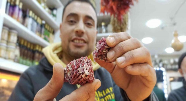 Düzcede korku ve travma aktarların yoğunluğunu artırdı