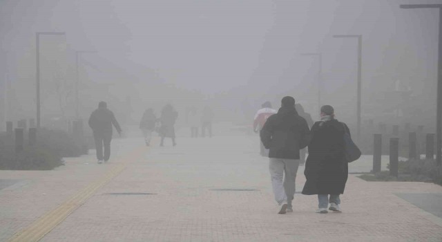Edirnede yoğun sis etkili oluyor