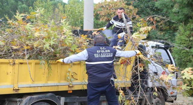 Efelerin yeşil ekipleri budama mesaisine devam ediyor