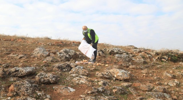 Elazığ Belediyesi, sokak ve yaban hayvanları için yem bıraktı