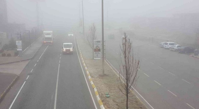 Erzincanda sis ve soğuk hava etkili oldu