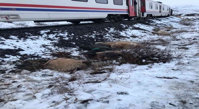 Erzincan'da trenin çarptığı çoban öldü