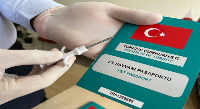 Evcil hayvanlara mikroçip uygulamasında zaman daralıyor