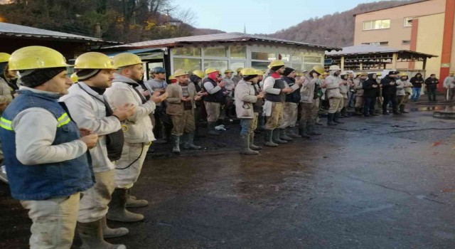 Gelikte yeni panoda üretime başlandı