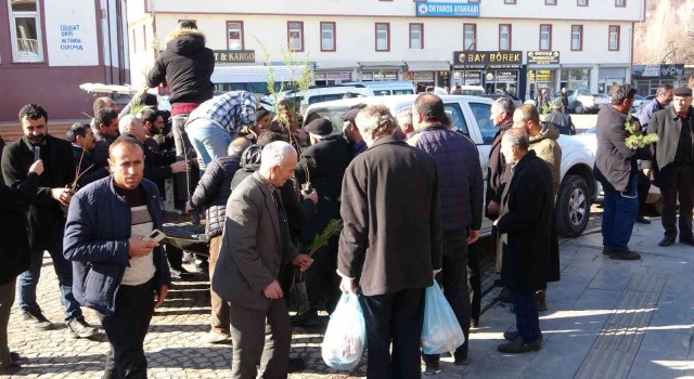 Gevaşta vatandaşlara fidan dağıtımı